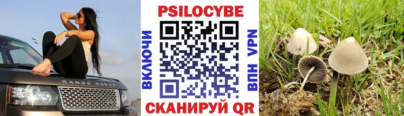 Галлюциногенные грибы ЛСД Кореновск